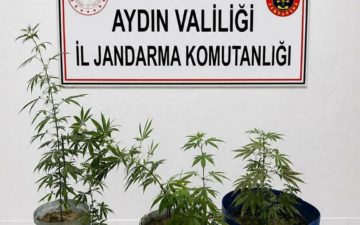 Uyuşturucu Operasyonu