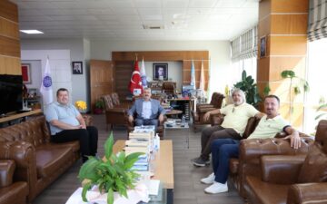 Ziyaret