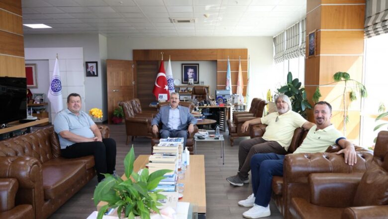 Ziyaret