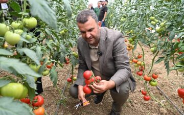 Sosyal sorumluluk