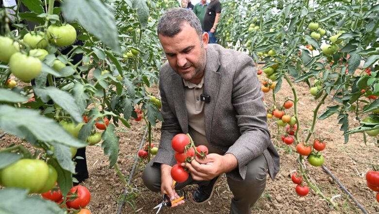 Sosyal sorumluluk